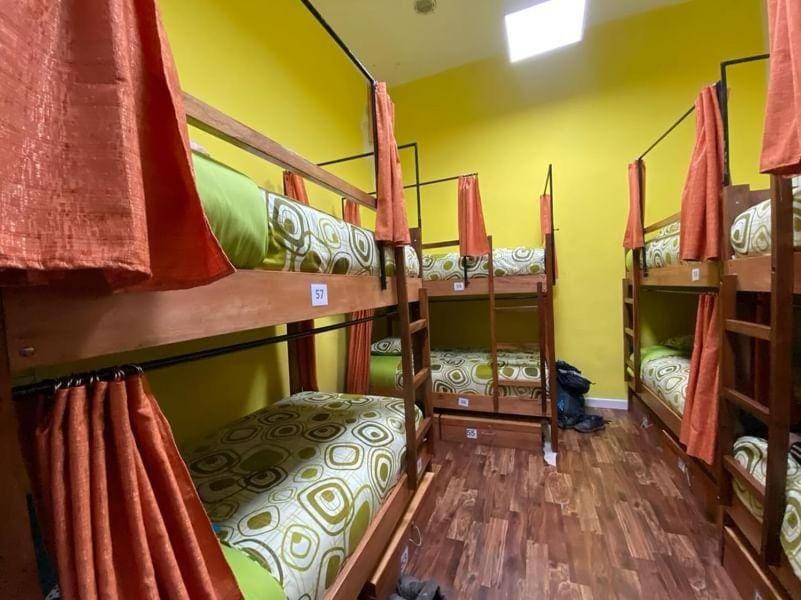 Saint Peter'S Llama Hostal La Paz Dış mekan fotoğraf