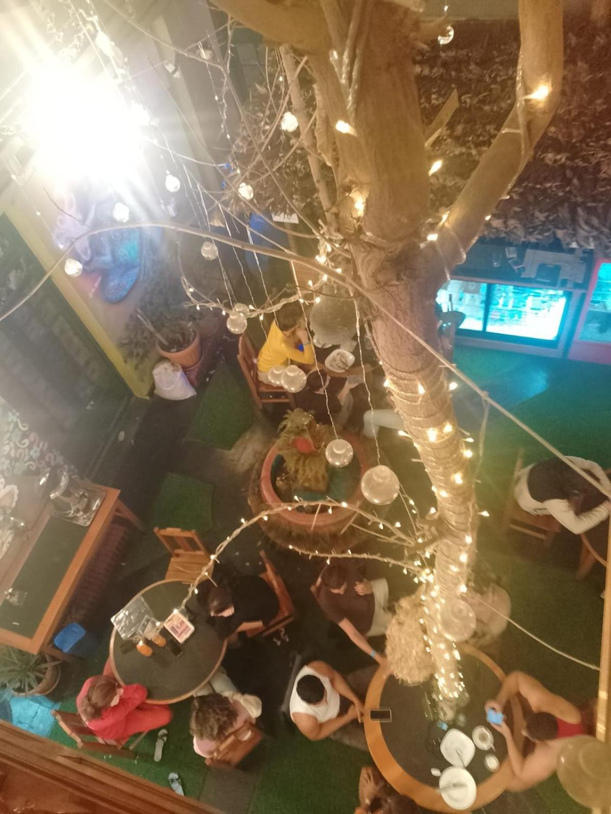 Saint Peter'S Llama Hostal La Paz Dış mekan fotoğraf