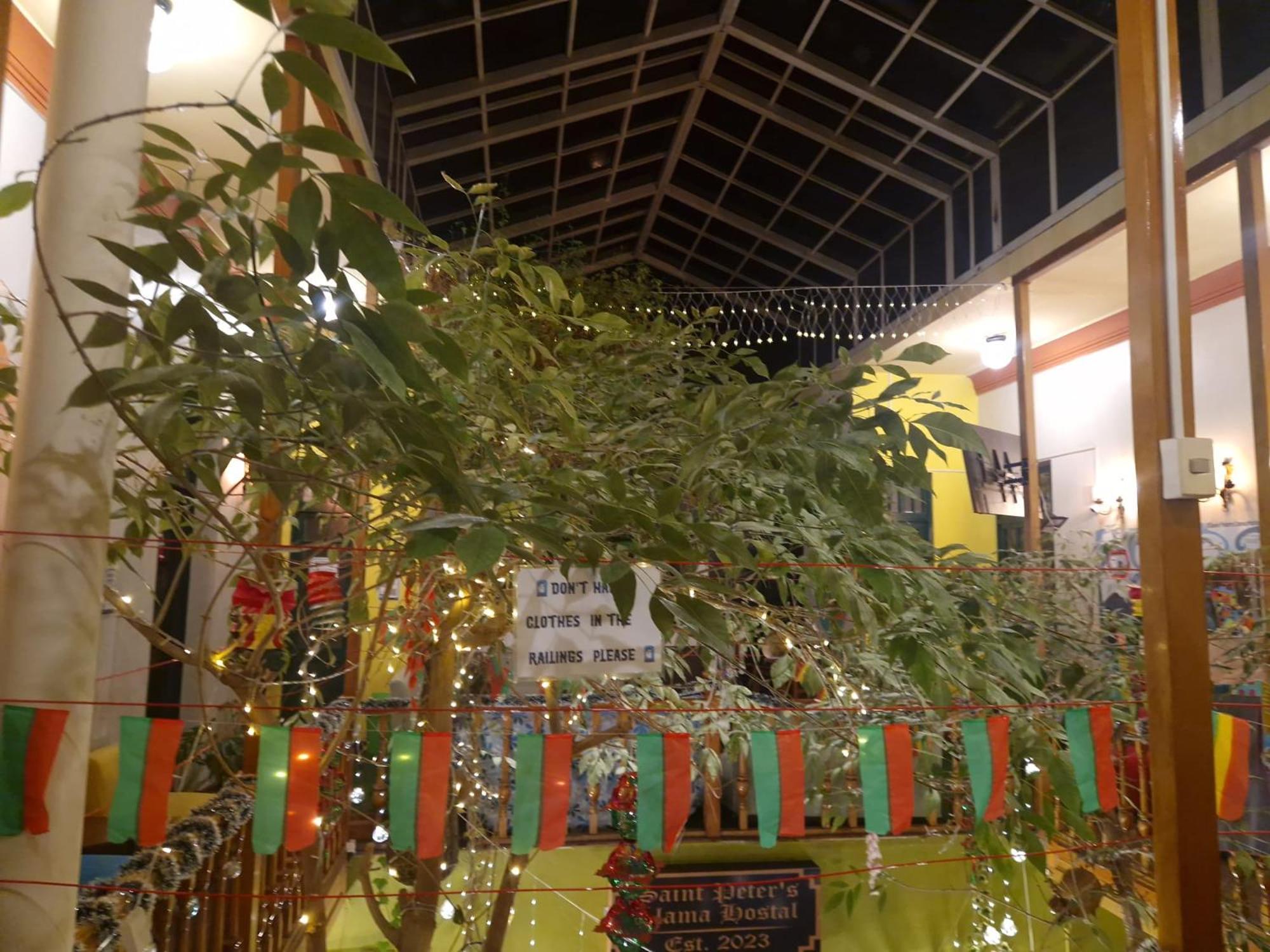 Saint Peter'S Llama Hostal La Paz Dış mekan fotoğraf