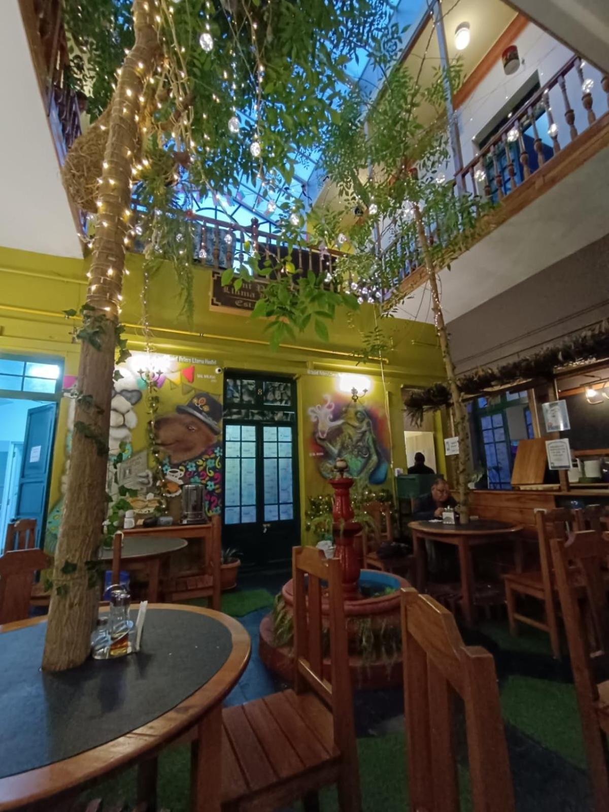 Saint Peter'S Llama Hostal La Paz Dış mekan fotoğraf