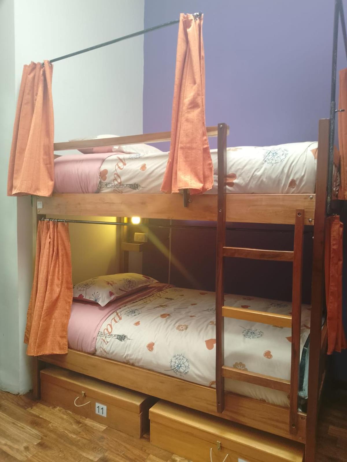 Saint Peter'S Llama Hostal La Paz Oda fotoğraf